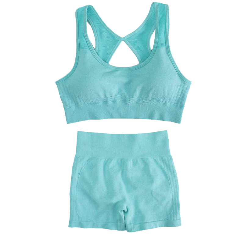Conjunto Deportivo de Yoga par - Yoga Fitness & Nutrition Llp reseña y precio
